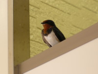 P1090495